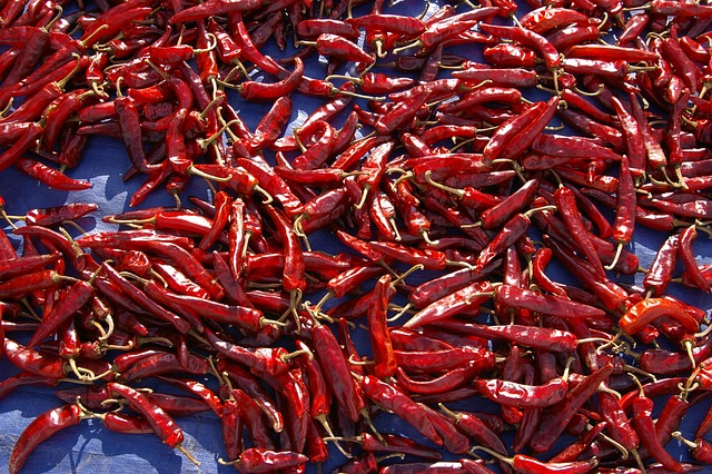 jalapenos peppers