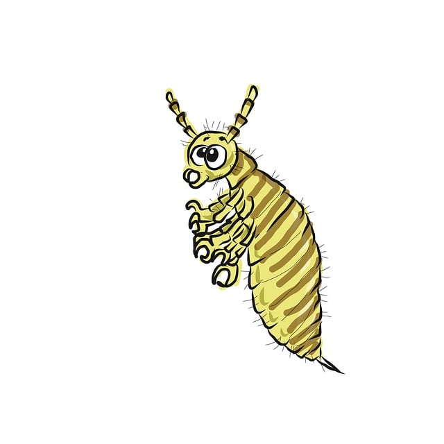 lice treatment