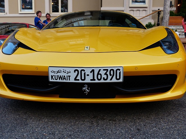 license plate frames