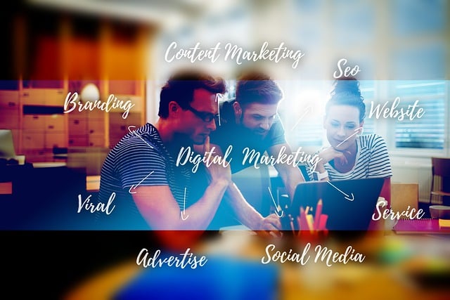 search engine optimization