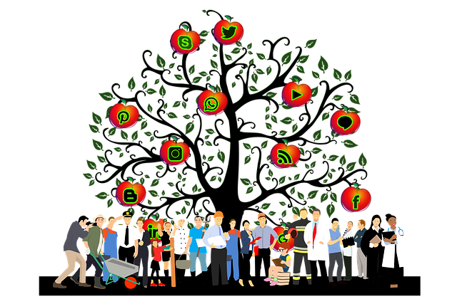 social media management