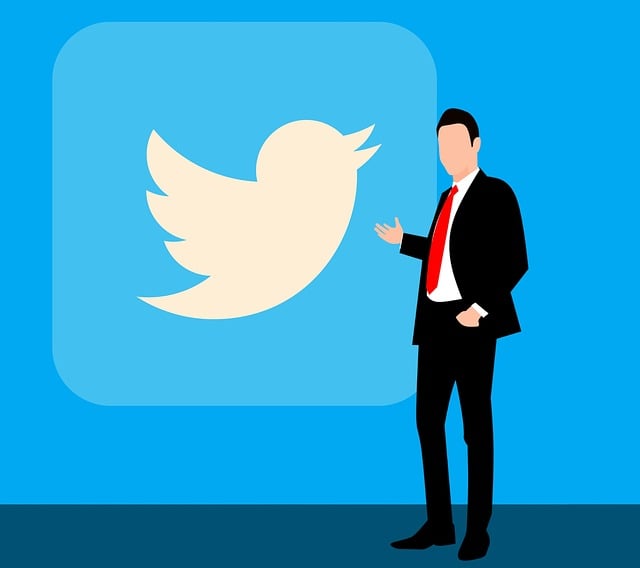 social media management