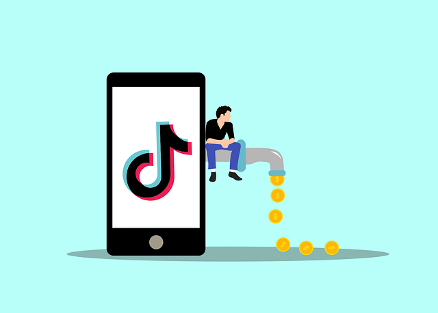 streaming media players