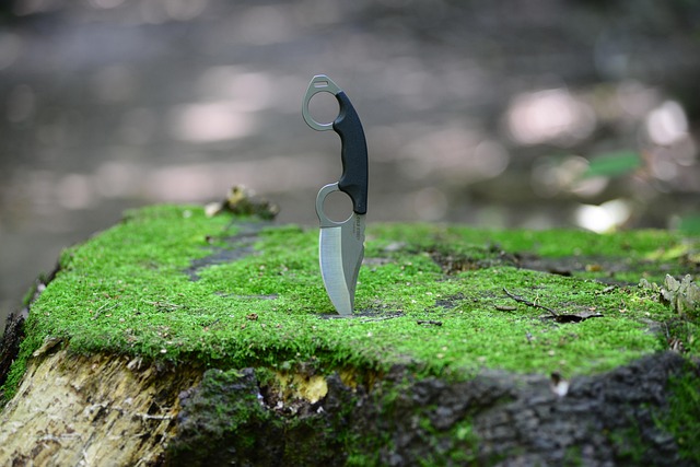 stump grinding
