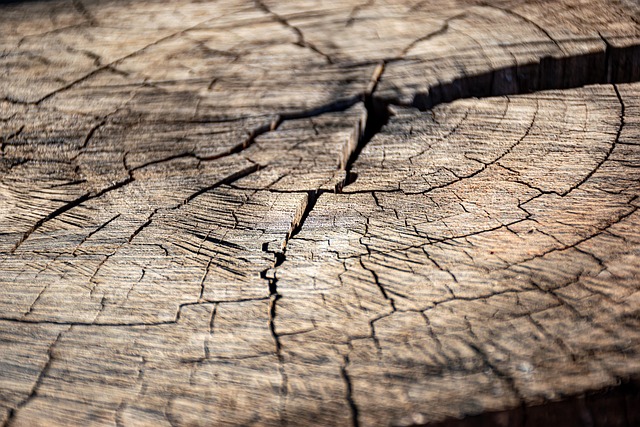 stump grinding