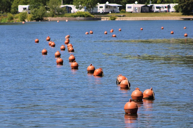 swimming equipment