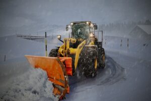 tree-removal-640x480-20878359.jpeg