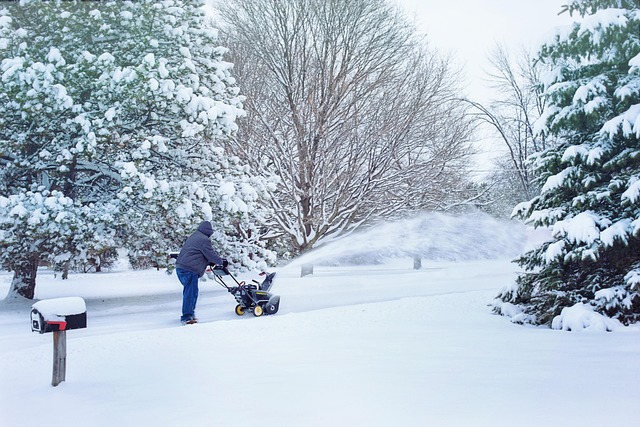 tree-removal-640x480-69532667.jpeg