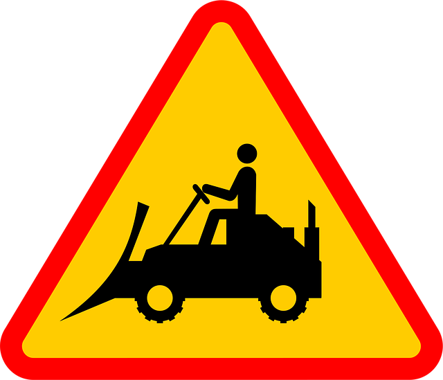 tree removal