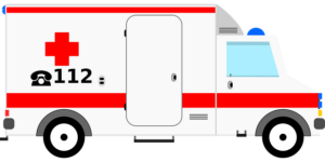 tree-services-640x480-73087601.png