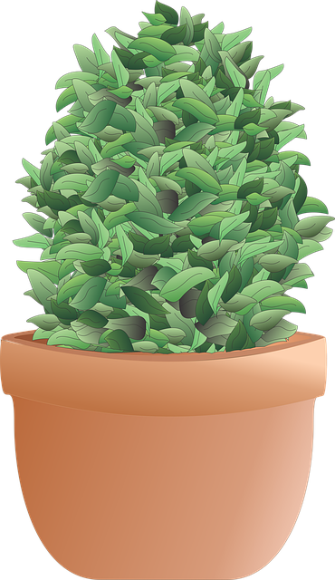 tree trimming