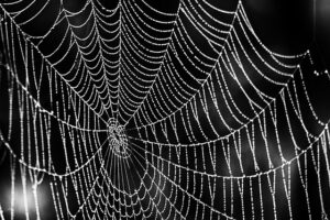 web-design-640x480-90300427.jpeg