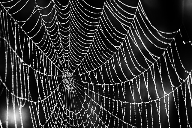 web-design-640x480-90300427.jpeg
