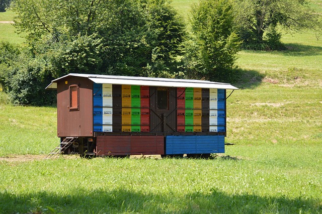 beekeeping supplies