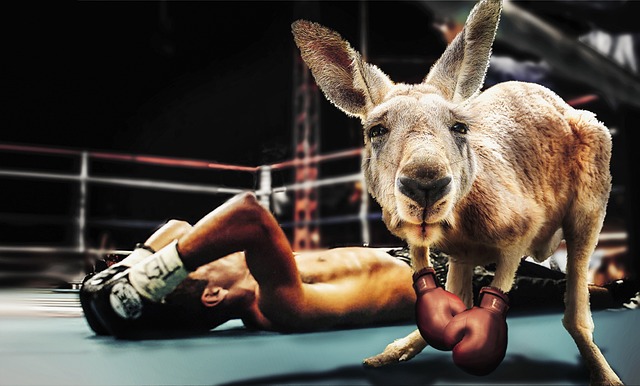 boxing-bag-gloves-640x480-88795890.jpeg