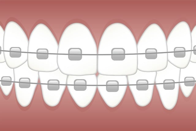 dental burs