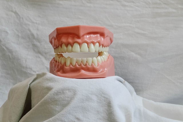 dental burs