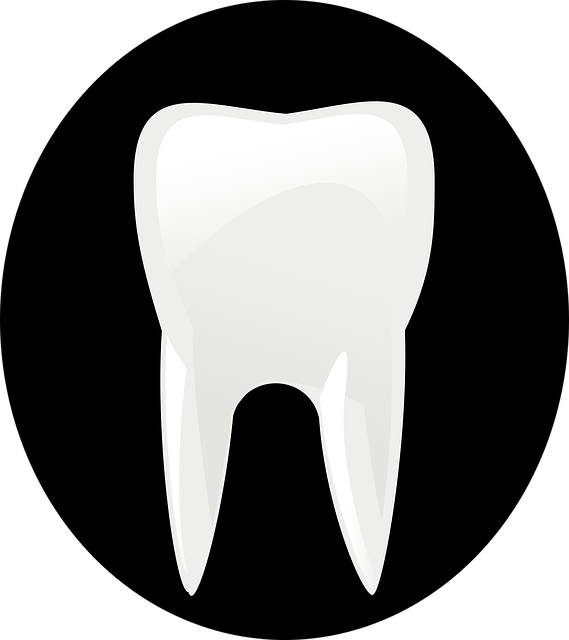 dental burs