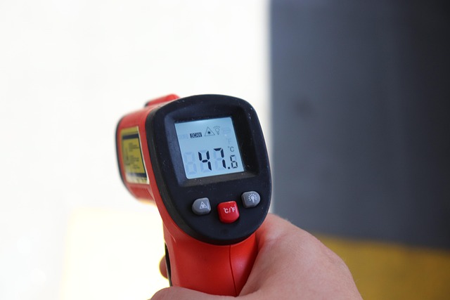 dog thermometers