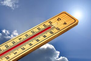 dog-thermometers-640x480-58709540.jpeg