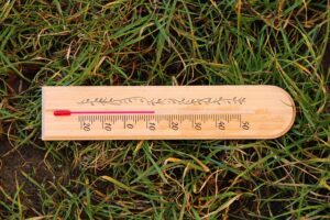 dog-thermometers-640x480-71380405.jpeg