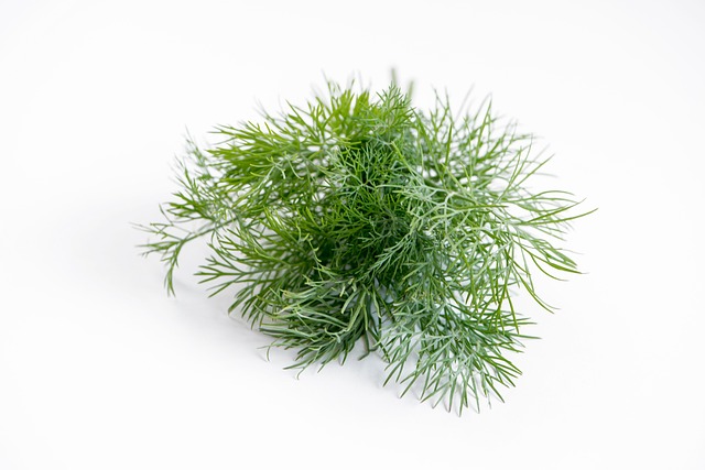 flavoring-powders-640x480-85871861.jpeg