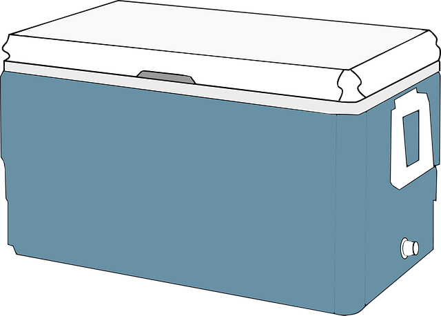 insulated tumblers