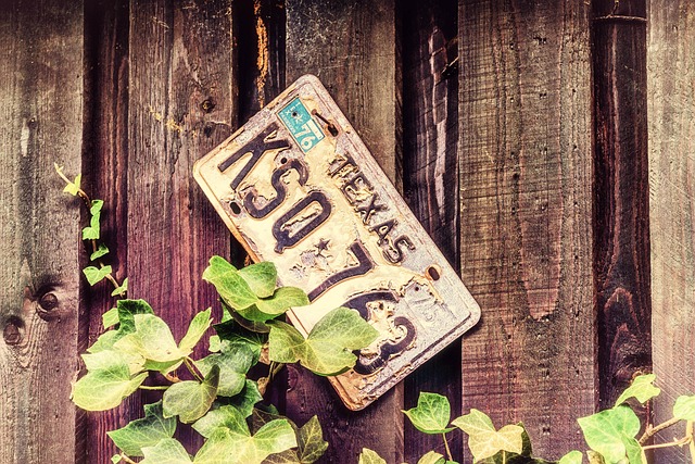 license plate frames