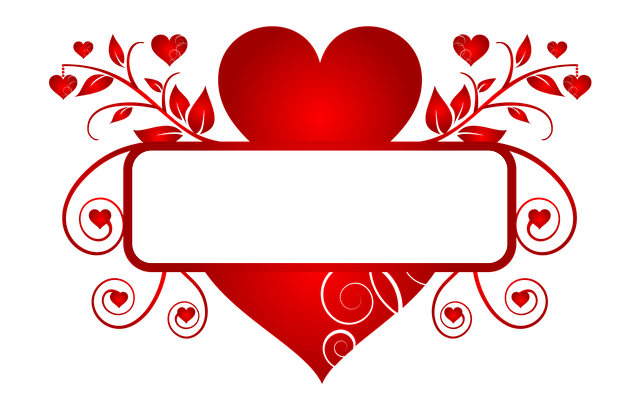 license plate frames