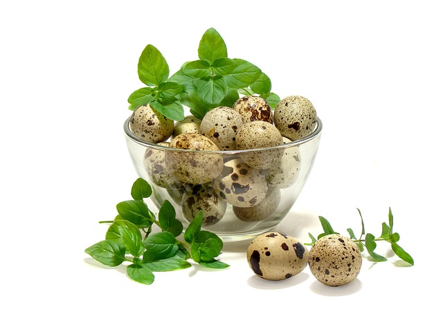 mint julep cups